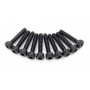 TRAXXAS - Skruv 2x10mm Självgängande Hög Insex (10) - TRAXXAS