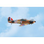 Hawker Hurricane 2210mm 50-55cc Bensin ARTF*-BLACK HORSE-BH108