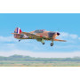 Hawker Hurricane 2210mm 50-55cc Bensin ARTF*-BLACK HORSE-BH108