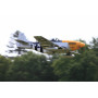 P-51D V8 PNP Ferocious Frankie 1440mm spv* UTGÅTT-FMS-FMS008P-FF