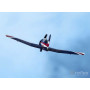 Nanchang CJ-6 V2 1200mm PNP med Reflex Gyro-FMS-FMS133P-REF