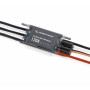 HOBBYWING - Seaking Pro 120A 2-6S Mono1 Båtreglage - HOBBYWING