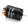 HOBBYWING - Motor QuicRun 3650SD 17.5T G2 - HOBBYWING