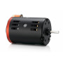 Motor QuicRun 3650SD 17.5T G2-HOBBYWING-30404306