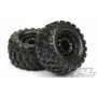 Badlands MX28 2.8 på F11 Fälg 17mm (2)-PRO-LINE RACING-10125-18