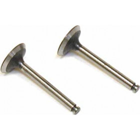 SAITO - Ventil In/Ut (2) FA-82/91/182TD, FG-14 - SAITO