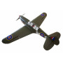P-40N Warhawk Shark med el landställ-SEAGULL-SEA250S