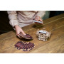 Ugears Deck Box-UGEARS Models-70071
