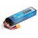 VAPEX - Li-Po Batteri 3S 11,1V 3300mAh 25C XT60-Kontakt - VAPEX
