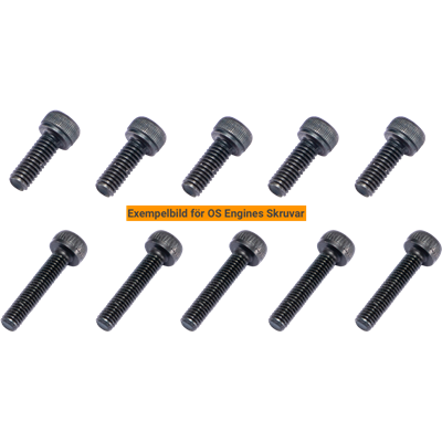 Insexskruv M3x10mm 10 st
