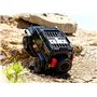 TRX-4 Scale & Trail Crawler Land Rover Defender Svart ARTR
