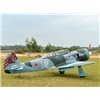 Yak 11 60-70cc 2350mm | EL/Bensin | Erfaren/Expert | ARTF
