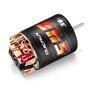 Borstad Motor QuicRun 540 40T