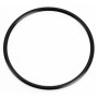 O-Ring S-32 E-3070