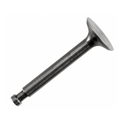 Avgasventil FS120S3/SE