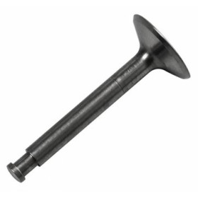 Insugsventil FS70S2/91S2