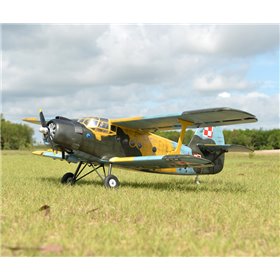 Antonov An-2 30-35cc 2425mm vingspan