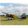 Antonov An-2 30-35cc 2425mm vingspan
